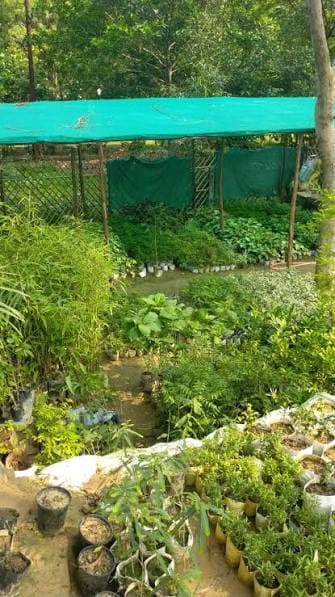 Manbhavan Plant Nursery