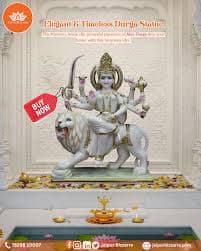 Jaipur Bizzarre