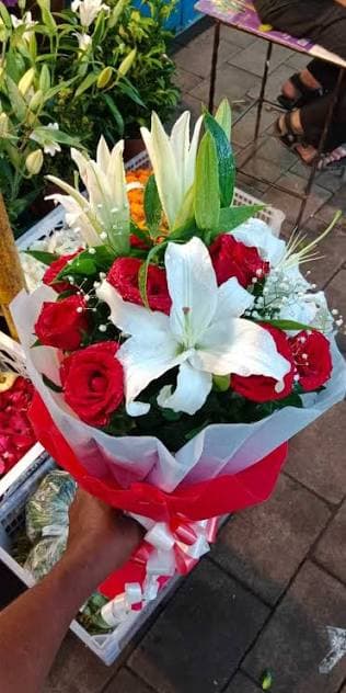Rainbow Florist World