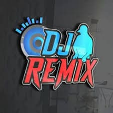 DJ Remix
