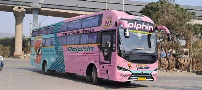 Dolphin Travels