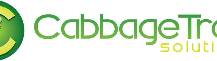 Cabbagetree Solutions