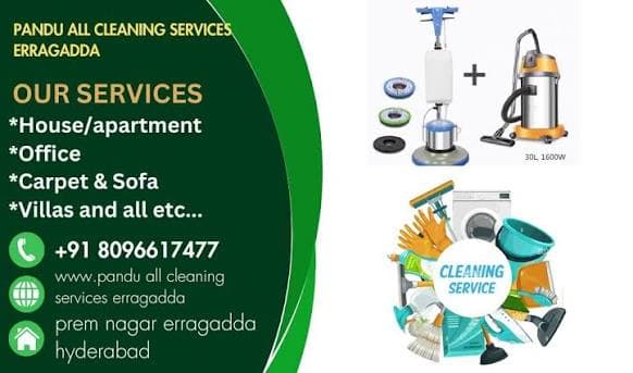 Pandu All Cleaning Services