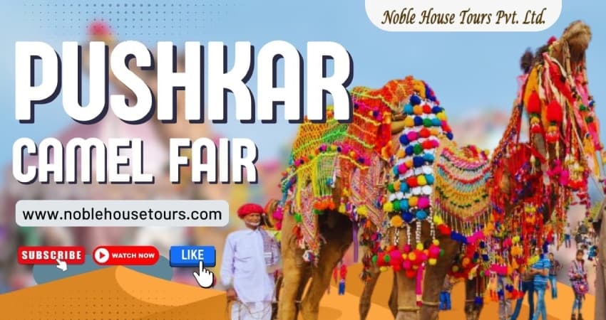 Pushkar Fair 2026 / Pushkar Camel Fair 2026 / Pushkar Mela — Ajmer, Rajasthan, India