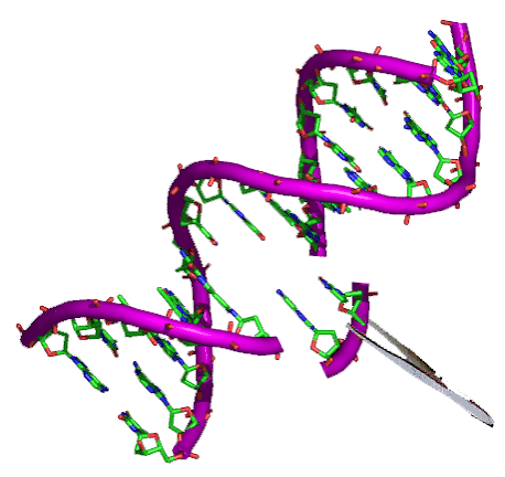 Engineering DNA